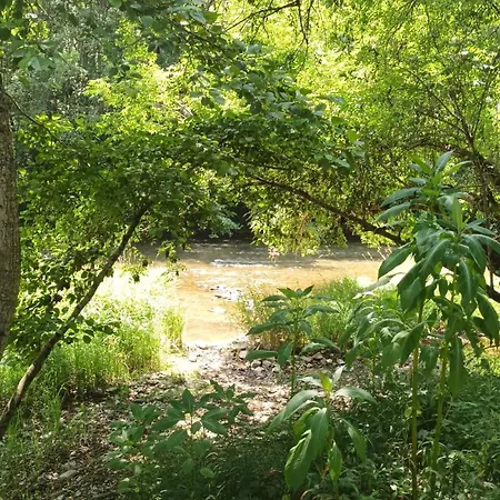 Appartamento La Roulotte 4pl Confort Au Bord De La Riviere *