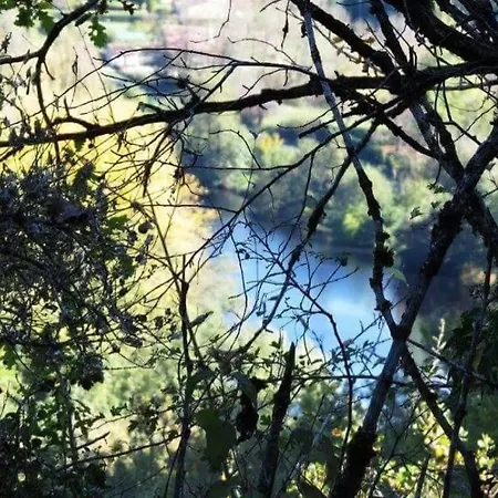 La Roulotte 4pl Confort Au Bord De La Riviere Appartamento *